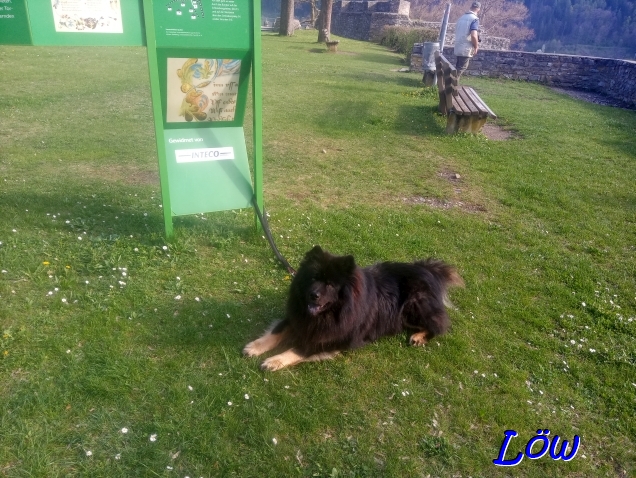 19.4.2025 - An der Literatur-Tafel